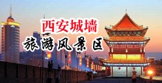 高潮大鸡吧爱爱黄片中国陕西-西安城墙旅游风景区